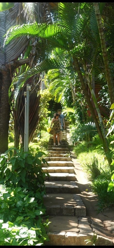 Stone steps through lush greenery in Nosy Be, Madagascar