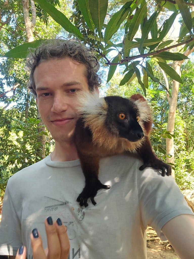 Black-and-white ruffed lemur on a shoulder in Nosy Komba, Madagascar